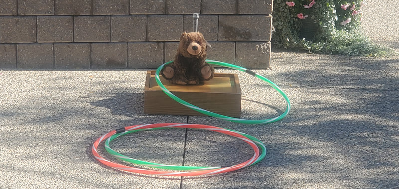 ring a bear, Carnival game rental, hula hoop toss