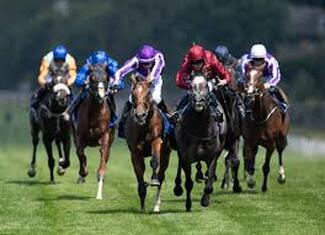 Night at the Derby Horse racing rentals in Michigan